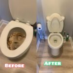 toilet Cleanind