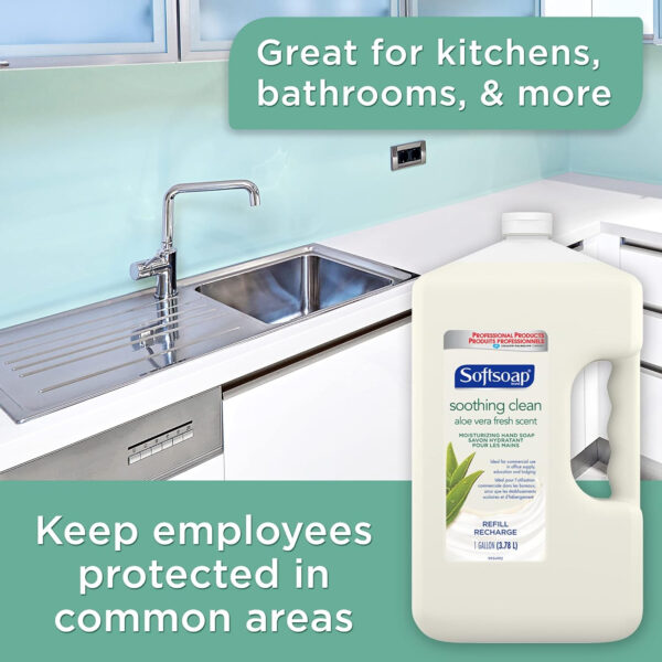 Softsoap Liquid Hand Soap Refill, Soothing Clean, Aloe Vera Fresh Scent - 1 gallon, Pack of 4