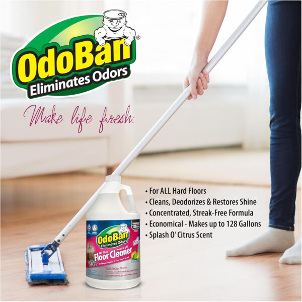 OdoBan Pet Solutions Neutral pH Floor Cleaner Concentrate, 1 Gallon, and Oxy Stain Remover, 32 Ounce Spray
