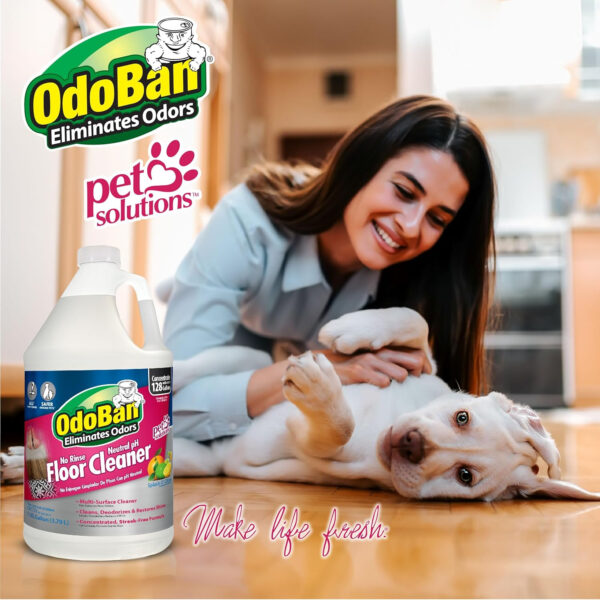 OdoBan Pet Solutions Neutral pH Floor Cleaner Concentrate, 1 Gallon, and Oxy Stain Remover, 32 Ounce Spray