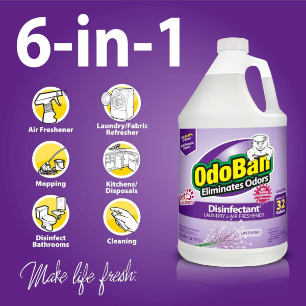 OdoBan Disinfectant Concentrate and Odor Eliminator, 4 Gallons, Lavender Scent