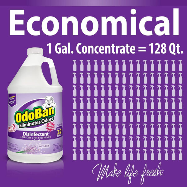 OdoBan Disinfectant Concentrate and Odor Eliminator, 4 Gallons, Lavender Scent