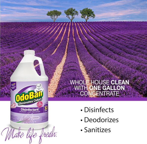 OdoBan Disinfectant Concentrate and Odor Eliminator, 4 Gallons, Lavender Scent