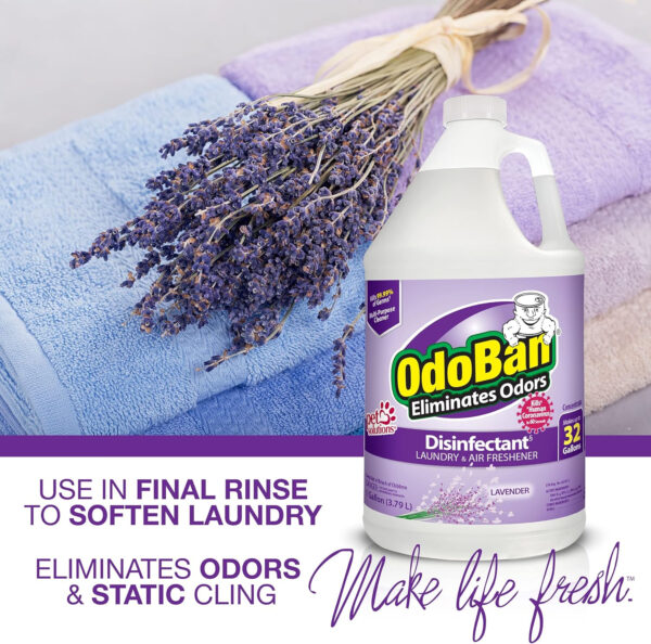 OdoBan Disinfectant Concentrate and Odor Eliminator, 4 Gallons, Lavender Scent