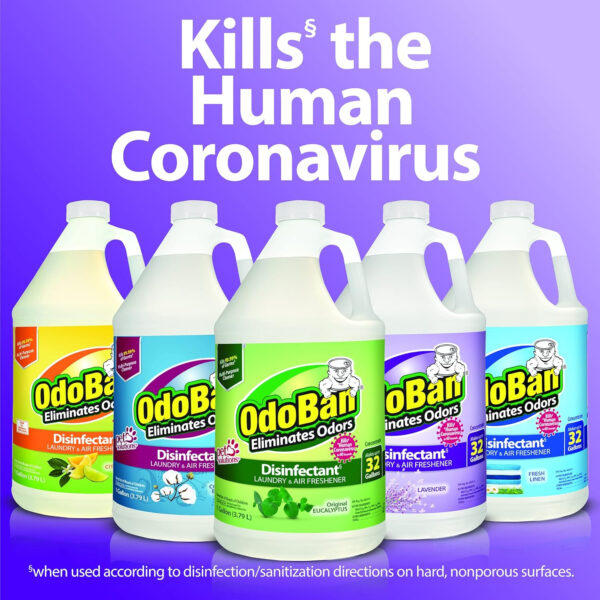 OdoBan Disinfectant Concentrate and Odor Eliminator, 4 Gallons, Lavender Scent
