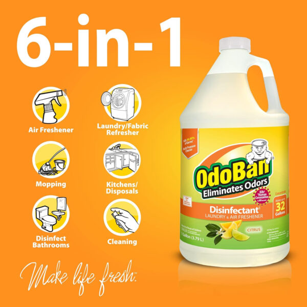 OdoBan Disinfectant Concentrate and Odor Eliminator, 4 Gallons, Lavender Scent