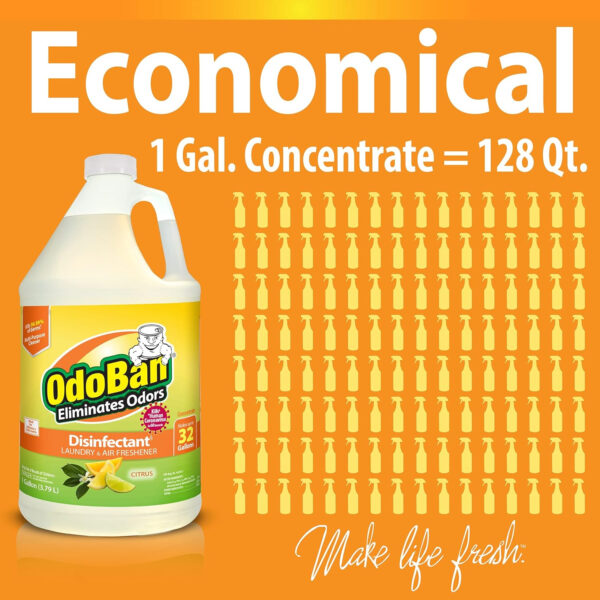 OdoBan Disinfectant Concentrate and Odor Eliminator, 4 Gallons, Lavender Scent