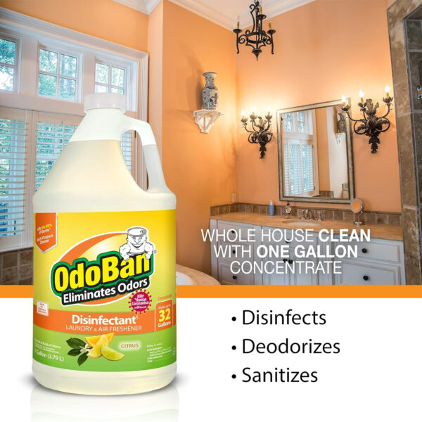 OdoBan Disinfectant Concentrate and Odor Eliminator, 4 Gallons, Lavender Scent