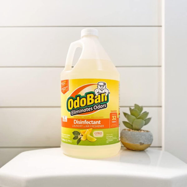 OdoBan Disinfectant Concentrate and Odor Eliminator, 4 Gallons, Lavender Scent