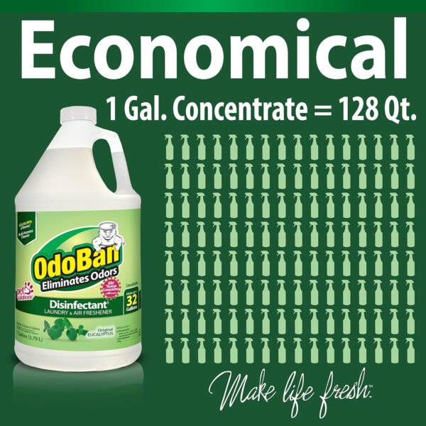 OdoBan Disinfectant Concentrate and Odor Eliminator, 4 Gallons, Lavender Scent