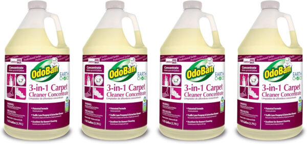 OdoBan Professional Series Cleaning 3-in-1 Carpet Cleaner Concentrate, Set of 2, 1 Gallon Each