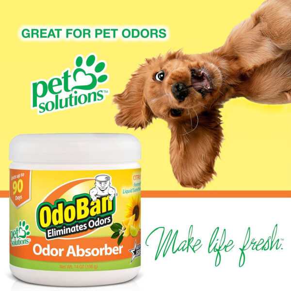 OdoBan Solid Odor Absorber Eliminator for Home and Small Spaces, Fresh Linen Scent, 14 Ounces Each, 3-Pack