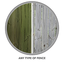 fence